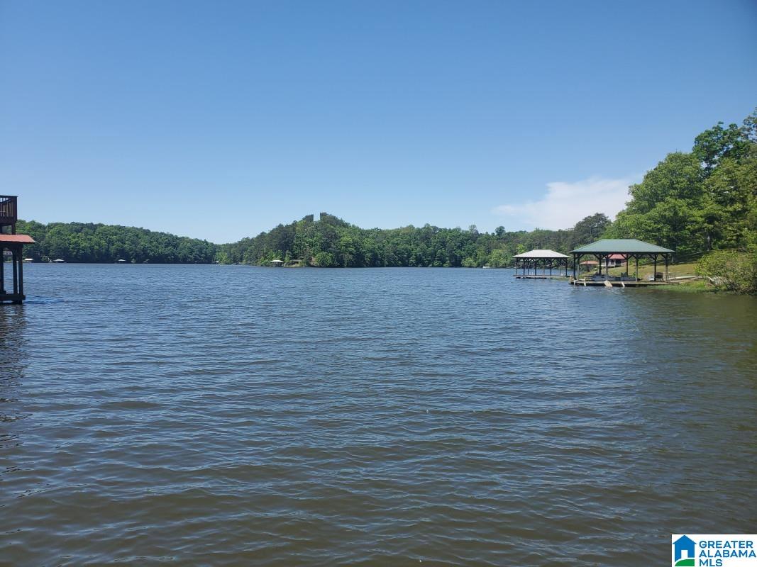 216 Lakeshore Drive Oneonta, AL 35121 - Photo 10 of 17