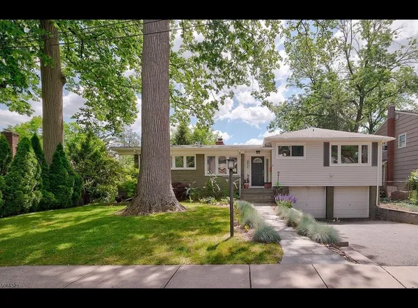 a view of a yard in front of a house with plants and large tree