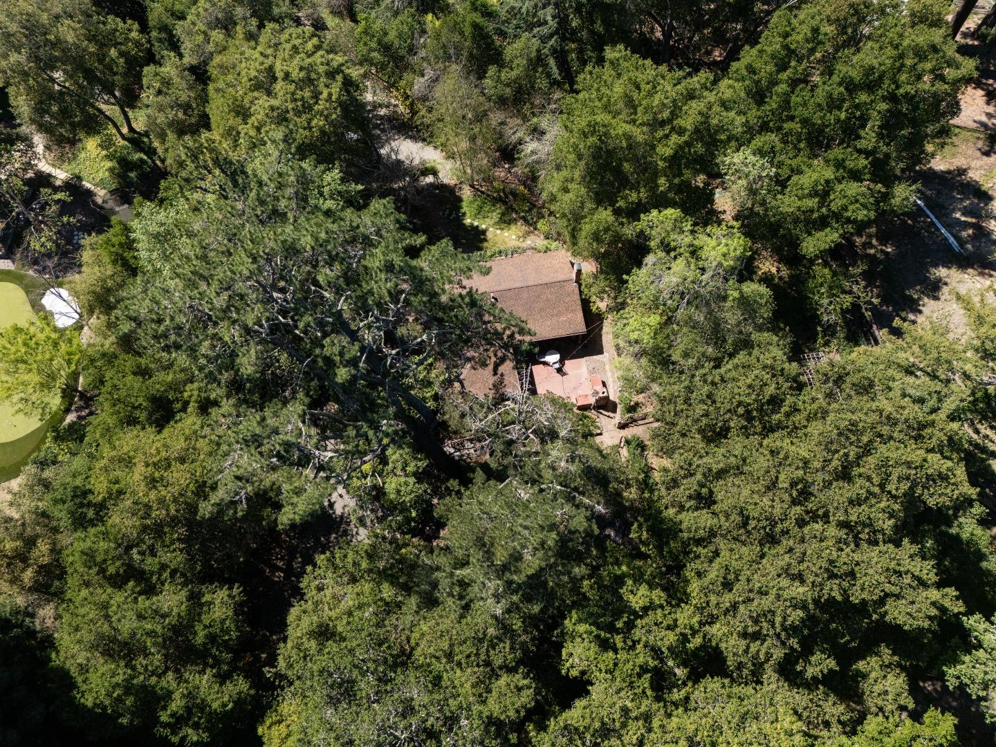 391 Mountain Home Road Woodside, CA 94062 - Photo 22 of 35