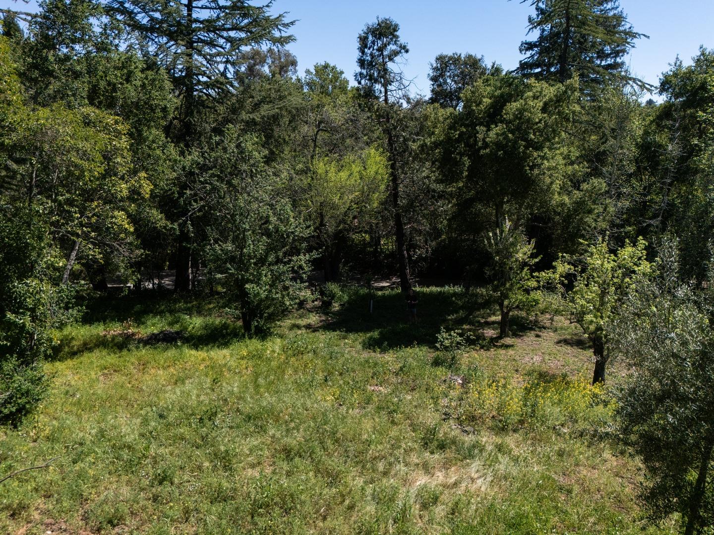 391 Mountain Home Road Woodside, CA 94062 - Photo 32 of 35