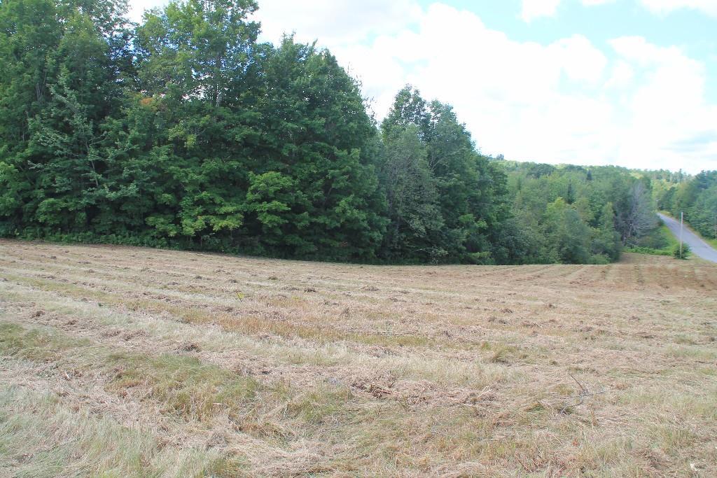 Lot 20 Lot Road Swanville, ME 04915 - Photo 8 of 10 Wooded area