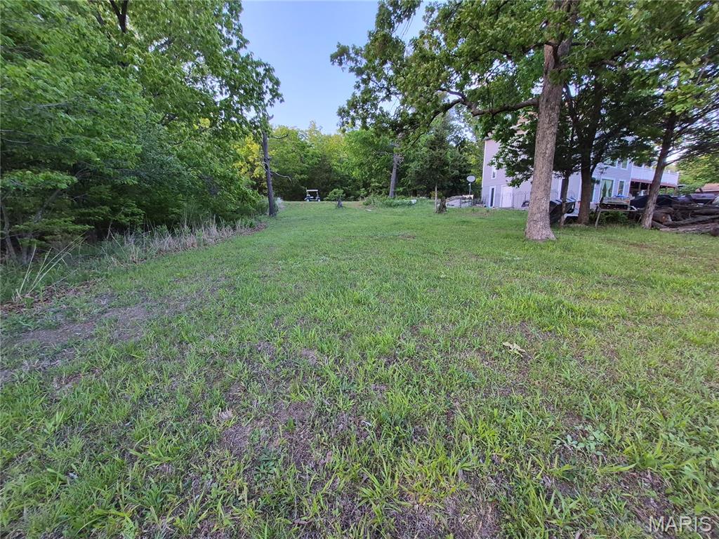 0 Rue Cheryl Bonne Terre, MO 63628 - Photo 3 of 6