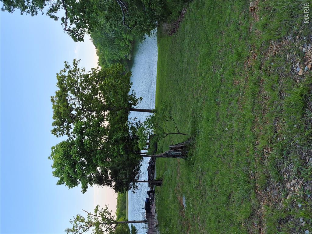 0 Rue Cheryl Bonne Terre, MO 63628 - Photo 5 of 6