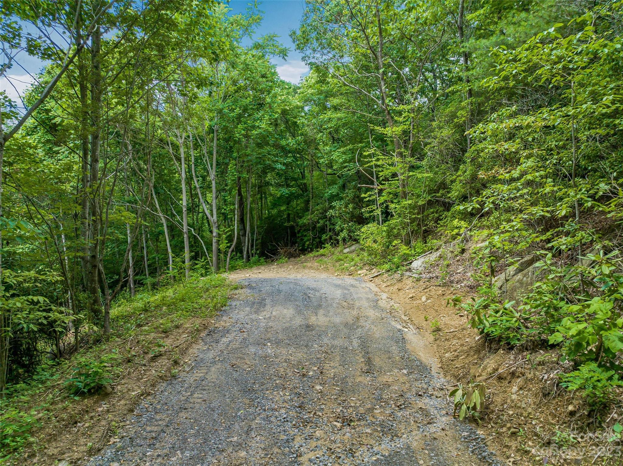 9999-2 Merrills Ridge Road, Unit 2 Asheville, NC 28803 - Photo 4 of 31 Gallery Image 4