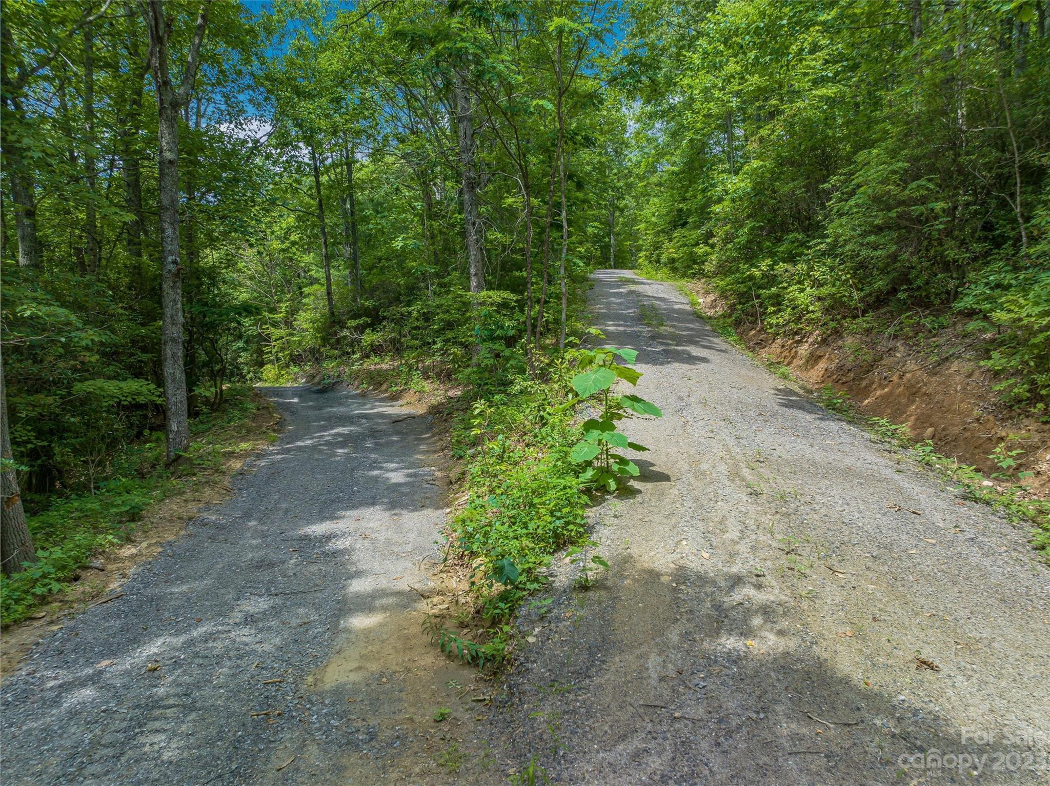 9999-2 Merrills Ridge Road, Unit 2 Asheville, NC 28803 - Photo 6 of 31 Gallery Image 6