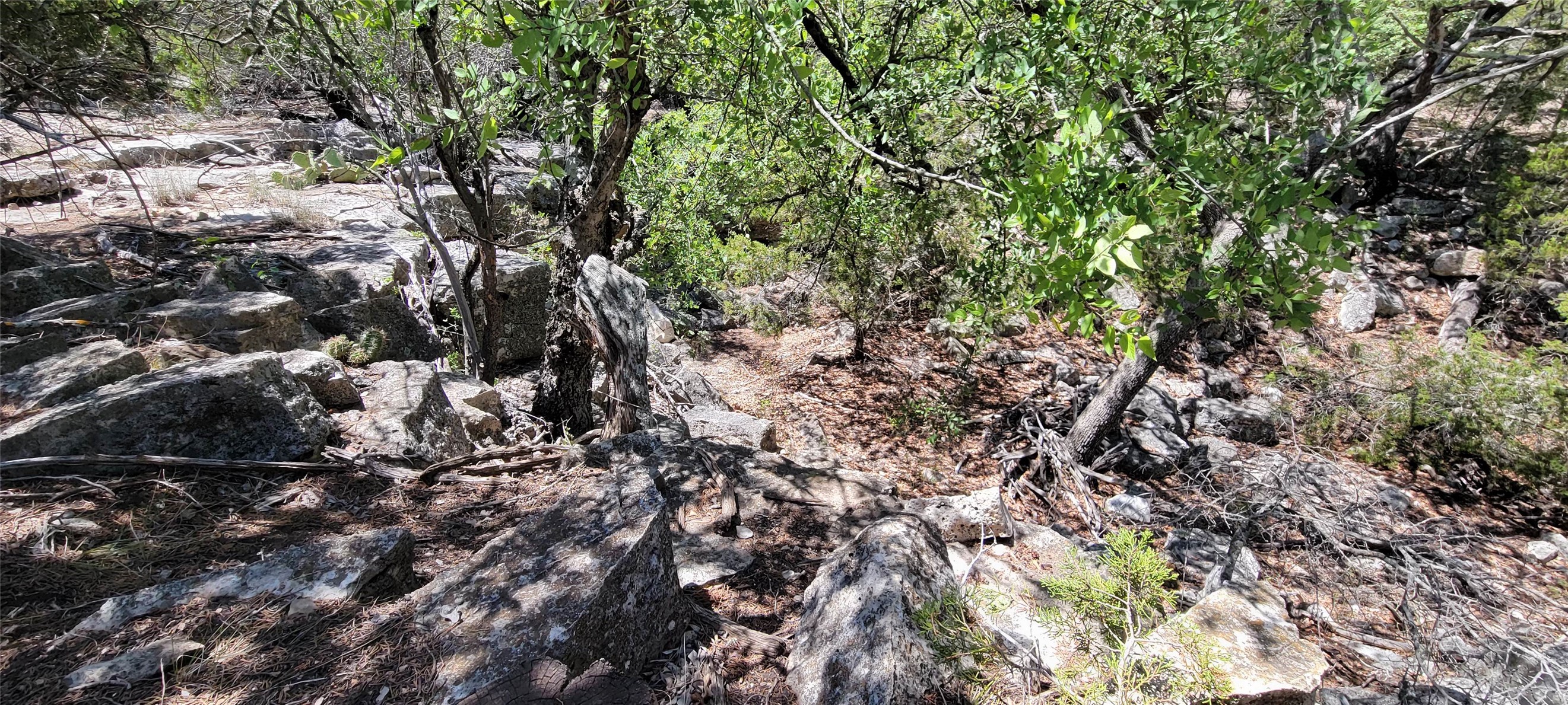 989 Cedar Ridge Road Junction, TX 76849 - Photo 21 of 50 Gallery Image 21