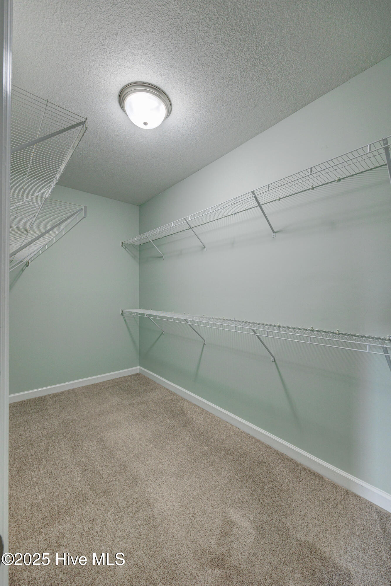 604 Winfall Drive Holly Ridge, NC 28445 - Photo 51 of 55 604WinfallDrive(48)