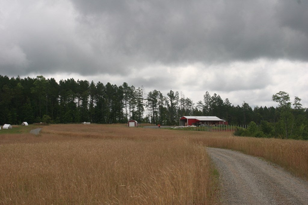 3988 St Andrews Road Dillwyn, VA 23936 - Photo 37 of 63 Gallery Image 37