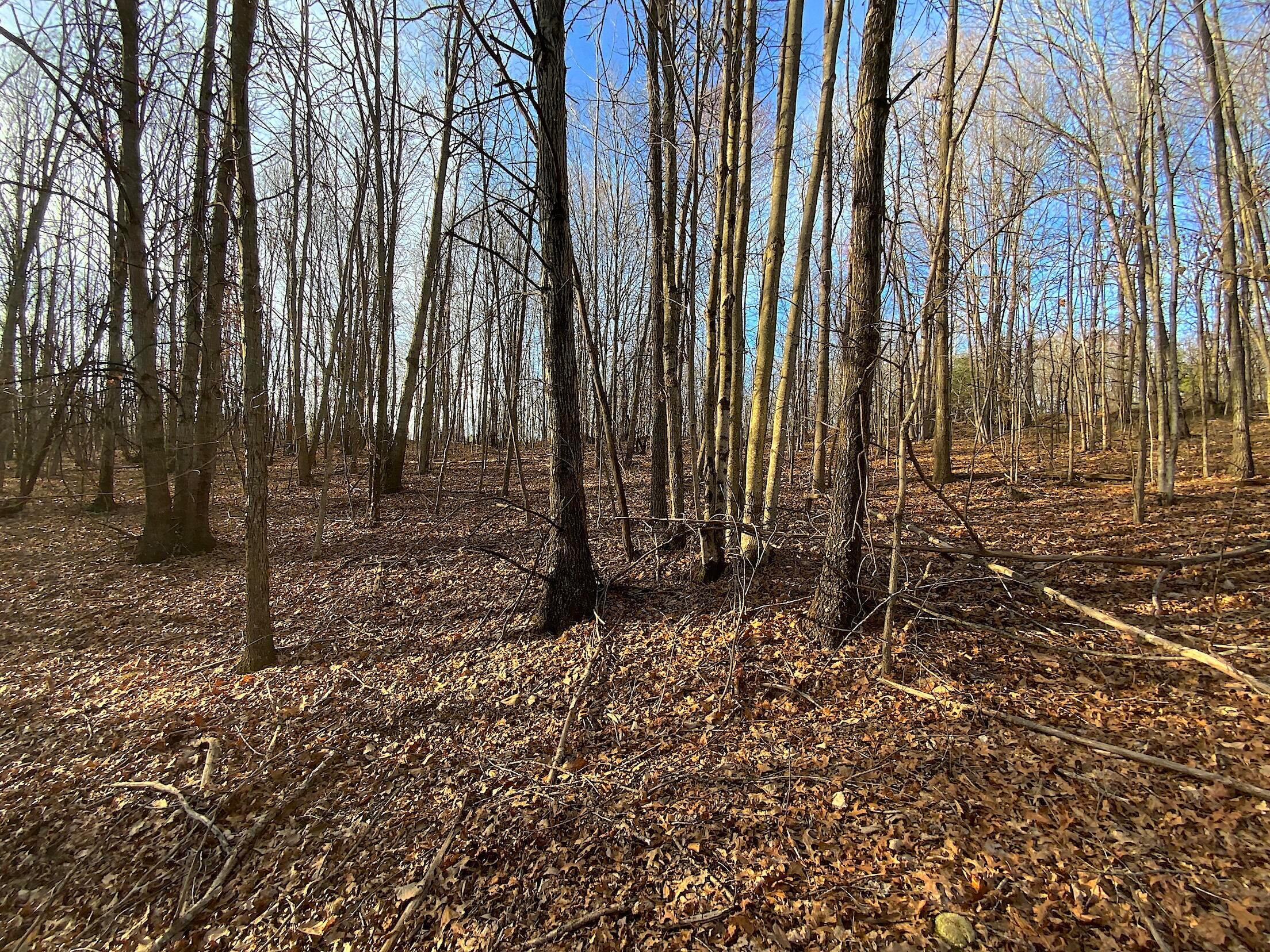 0 Kelly Road Ray, OH 45672 - Photo 46 of 46 Vinton County Kelly Rd 45