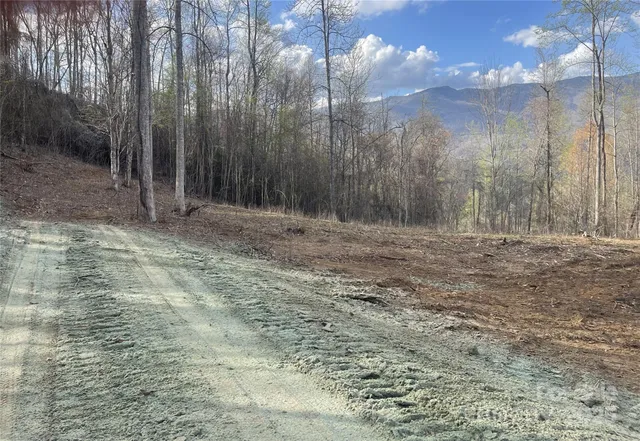 a view of outdoor space with trees