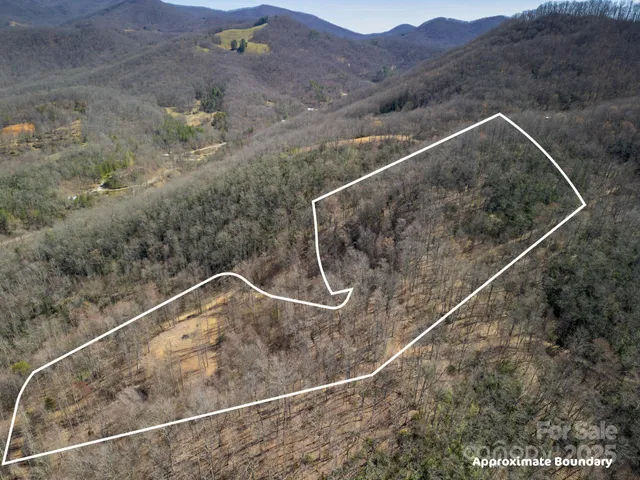 a view of a dry yard