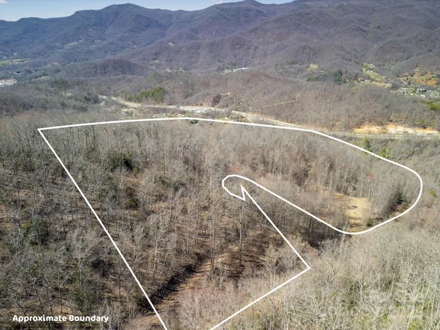 a view of dirt field with trees in the background