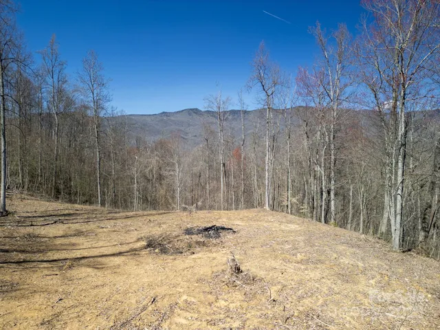 a view of large tree with wooden fence