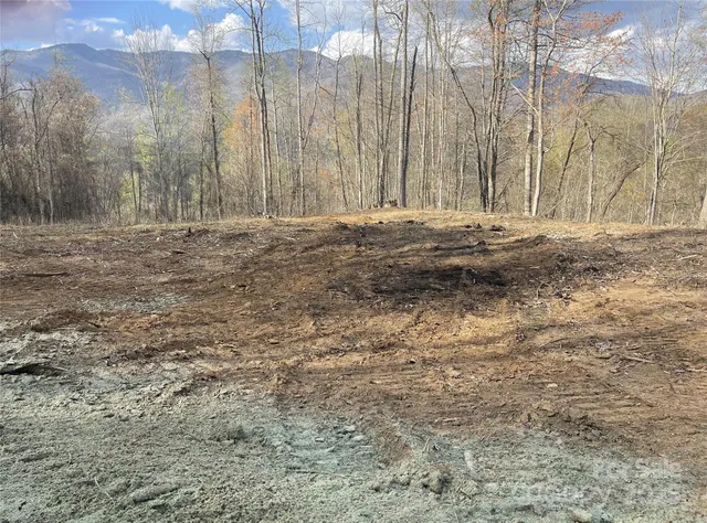 a backyard of a house with large trees