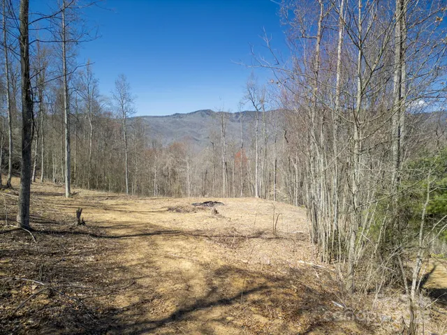 a view of a backyard of the house