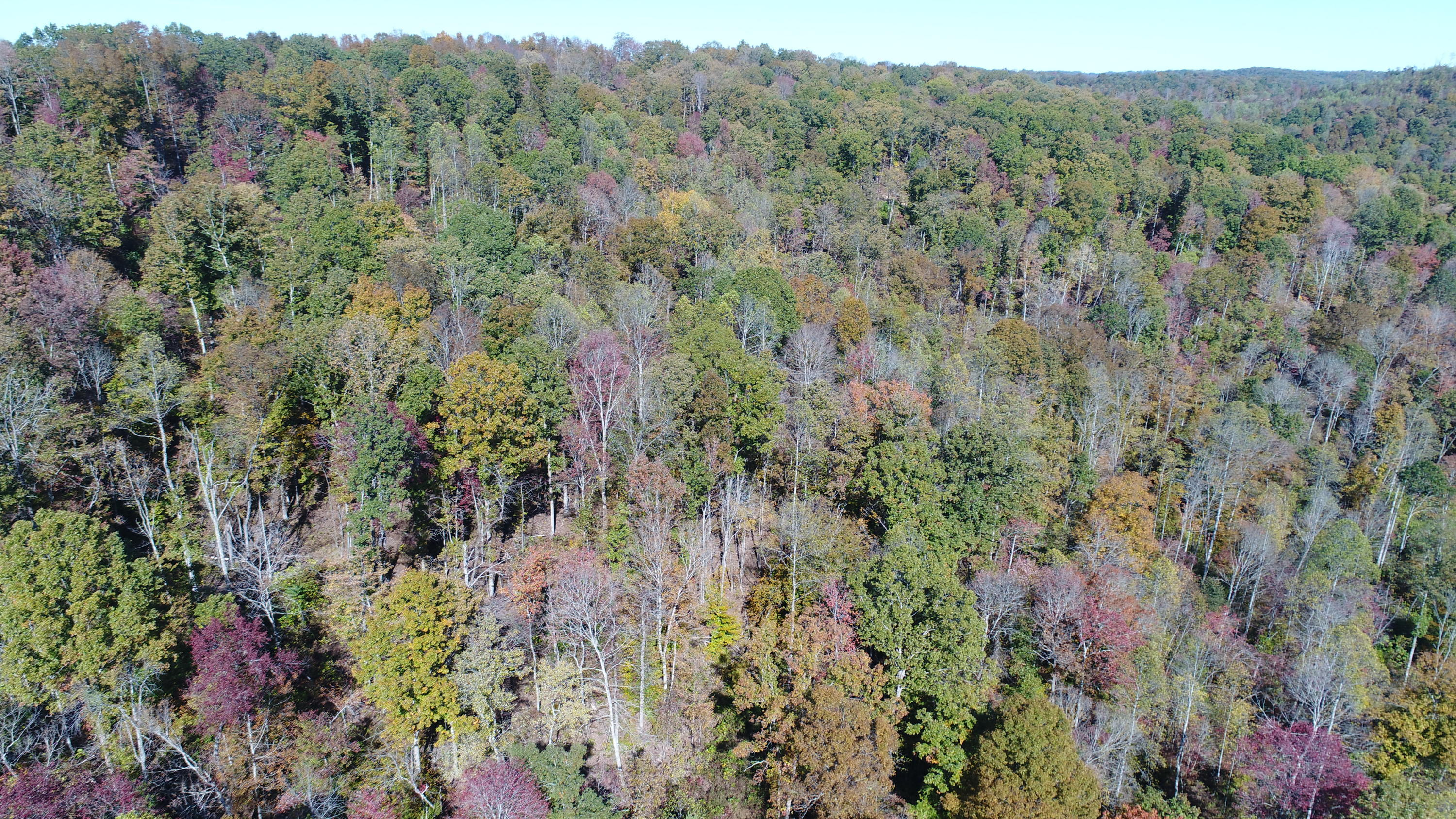 501 Big Sink Road Somerset, KY 42503 - Photo 18 of 38 DJI_0941