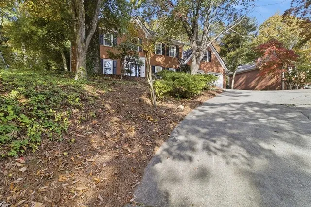 a view of a yard with plants and trees
