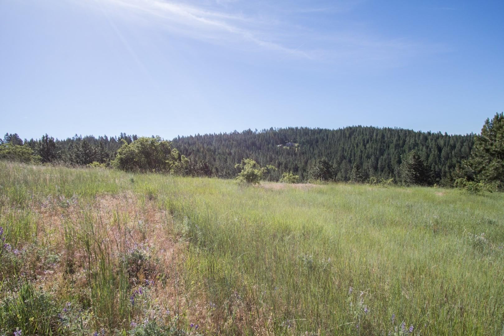 172-xx East Frederick Road Spokane, WA 99217 - Photo 9 of 48 Gallery Image 9
