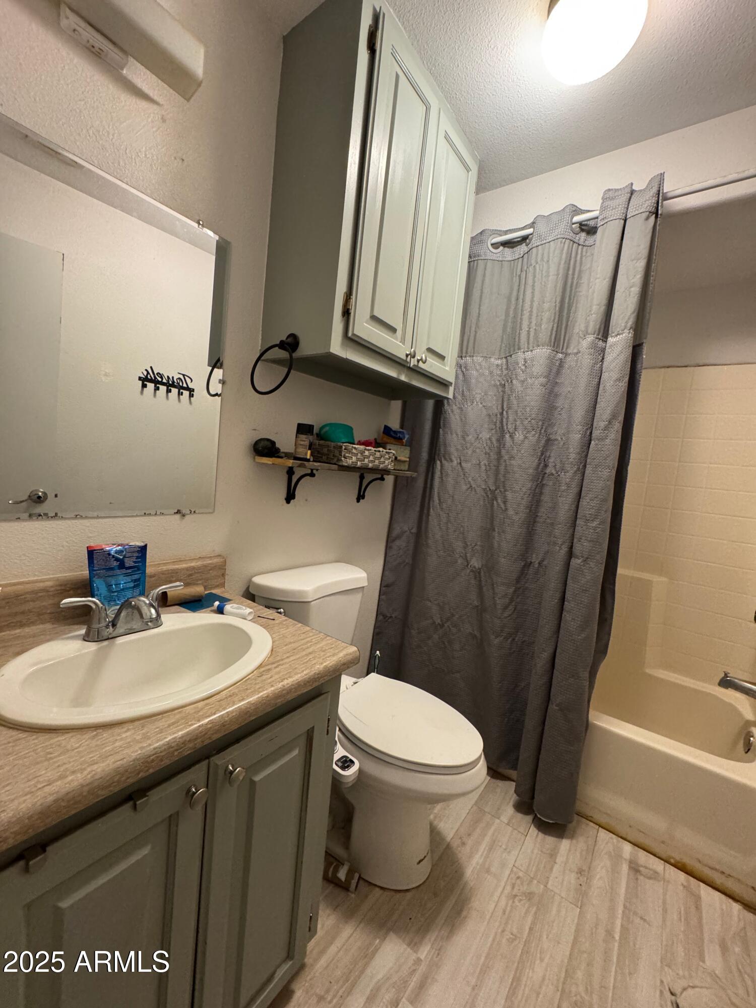 56163 West Papago Road Maricopa, AZ 85139 - Photo 15 of 44 a bathroom with a sink a toilet a mirror and shower