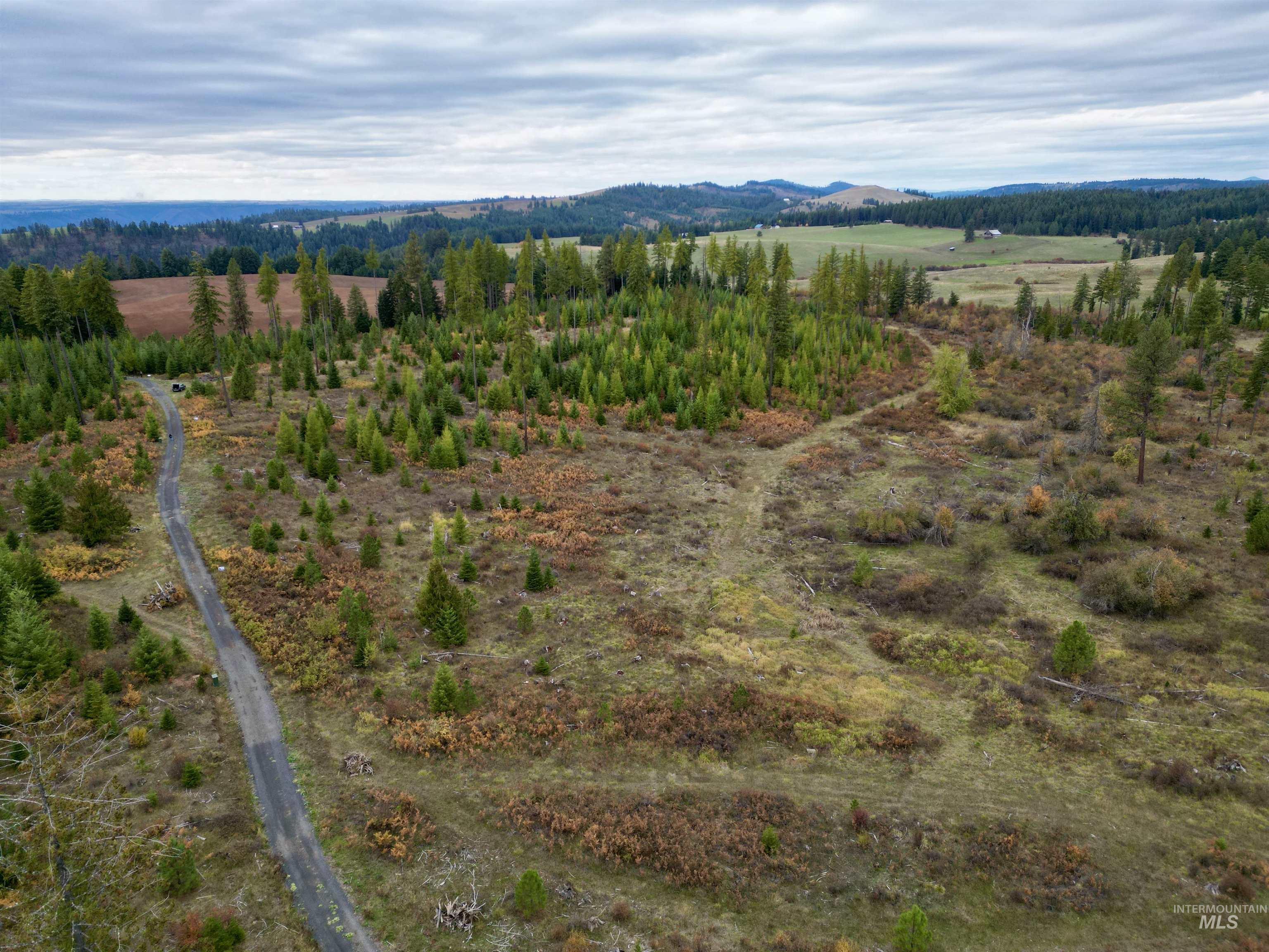 3 Peaceful Valley Road Kamiah, ID 83536 - Photo 2 of 8