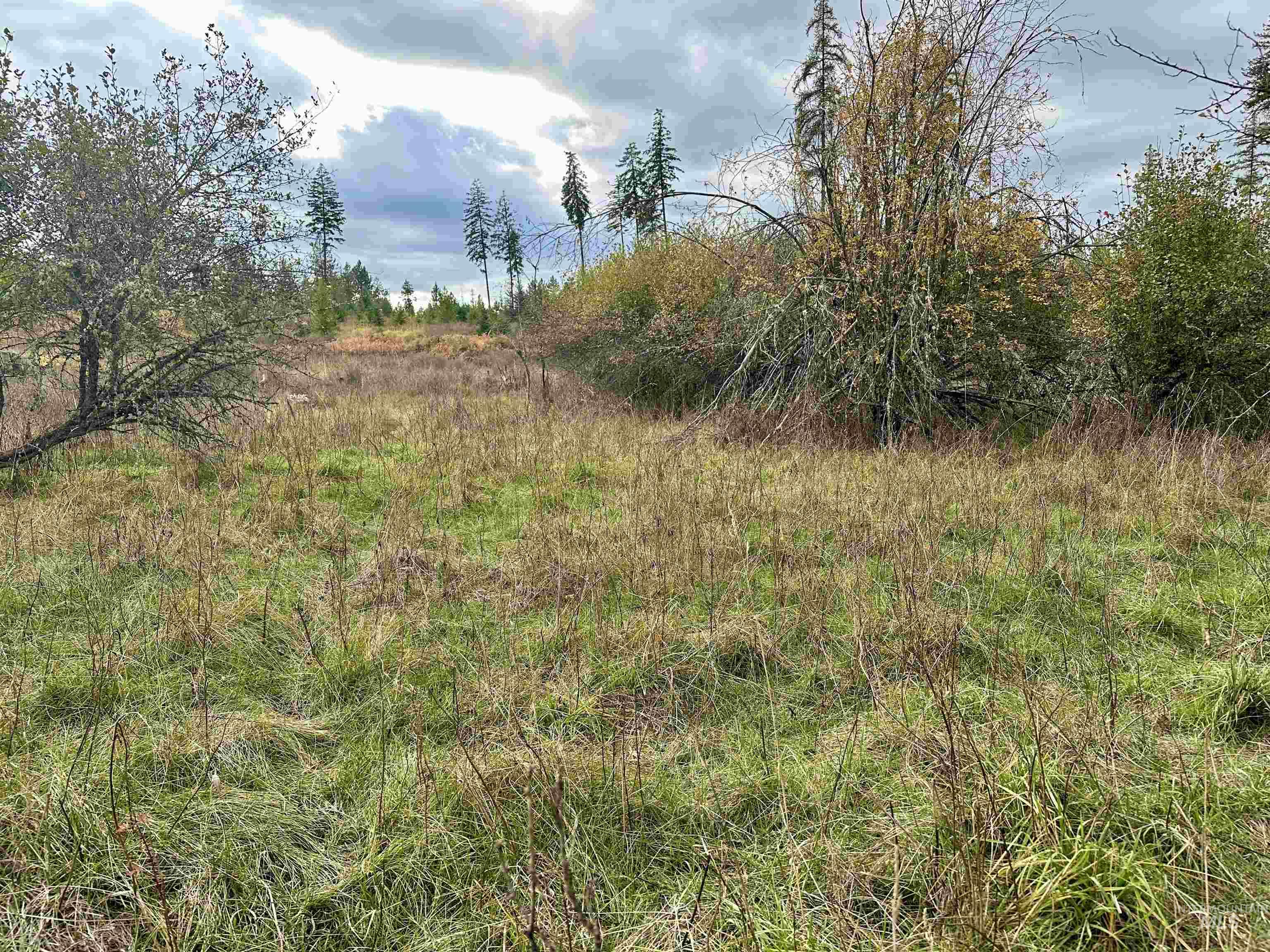 3 Peaceful Valley Road Kamiah, ID 83536 - Photo 4 of 8