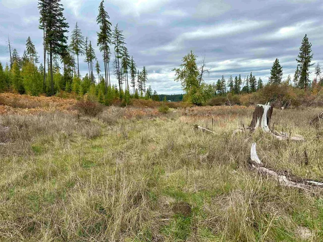 $145,000 | 3 Peaceful Valley Road, Kamiah, ID 83536