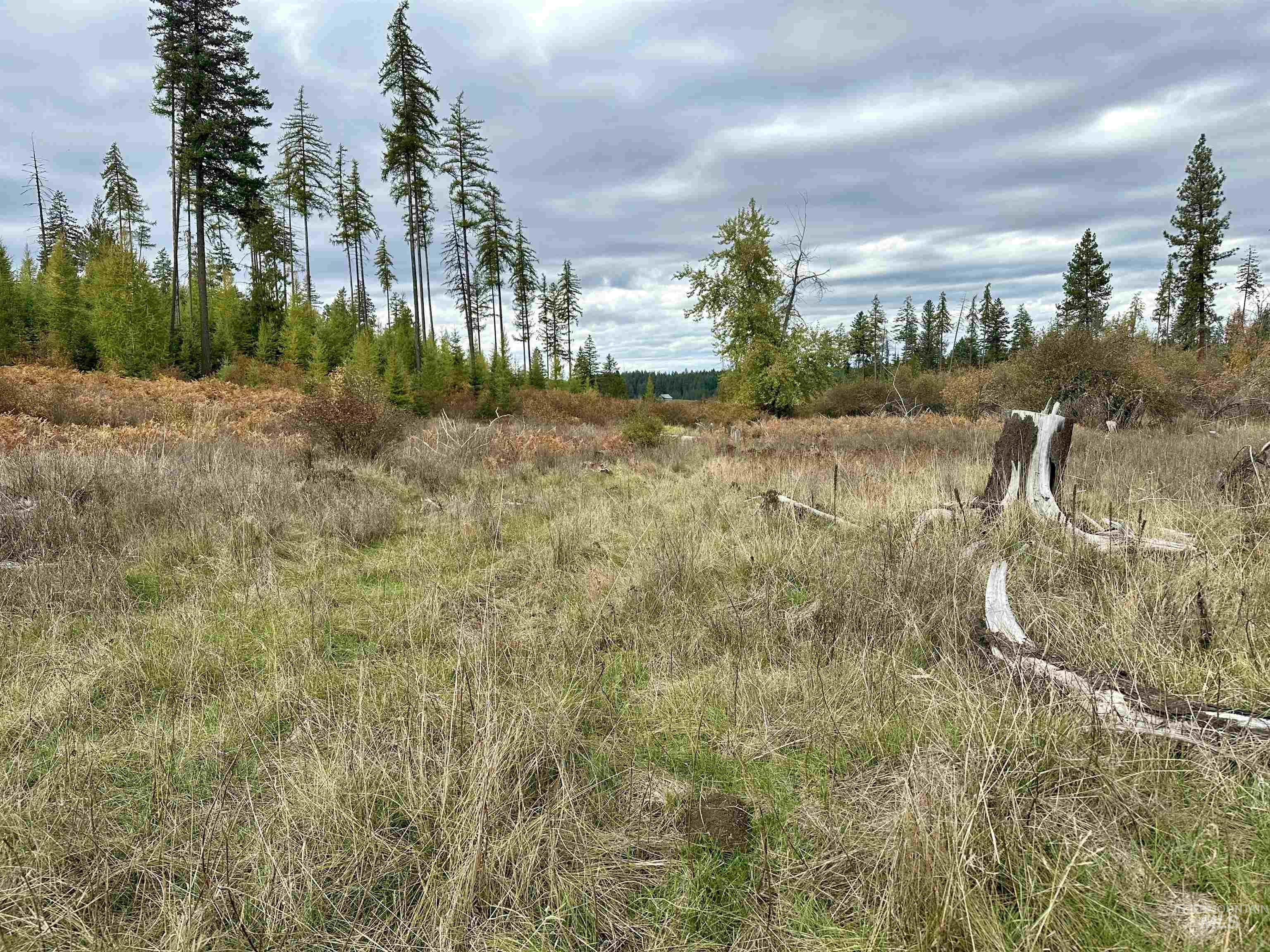3 Peaceful Valley Road Kamiah, ID 83536 - Photo 6 of 8
