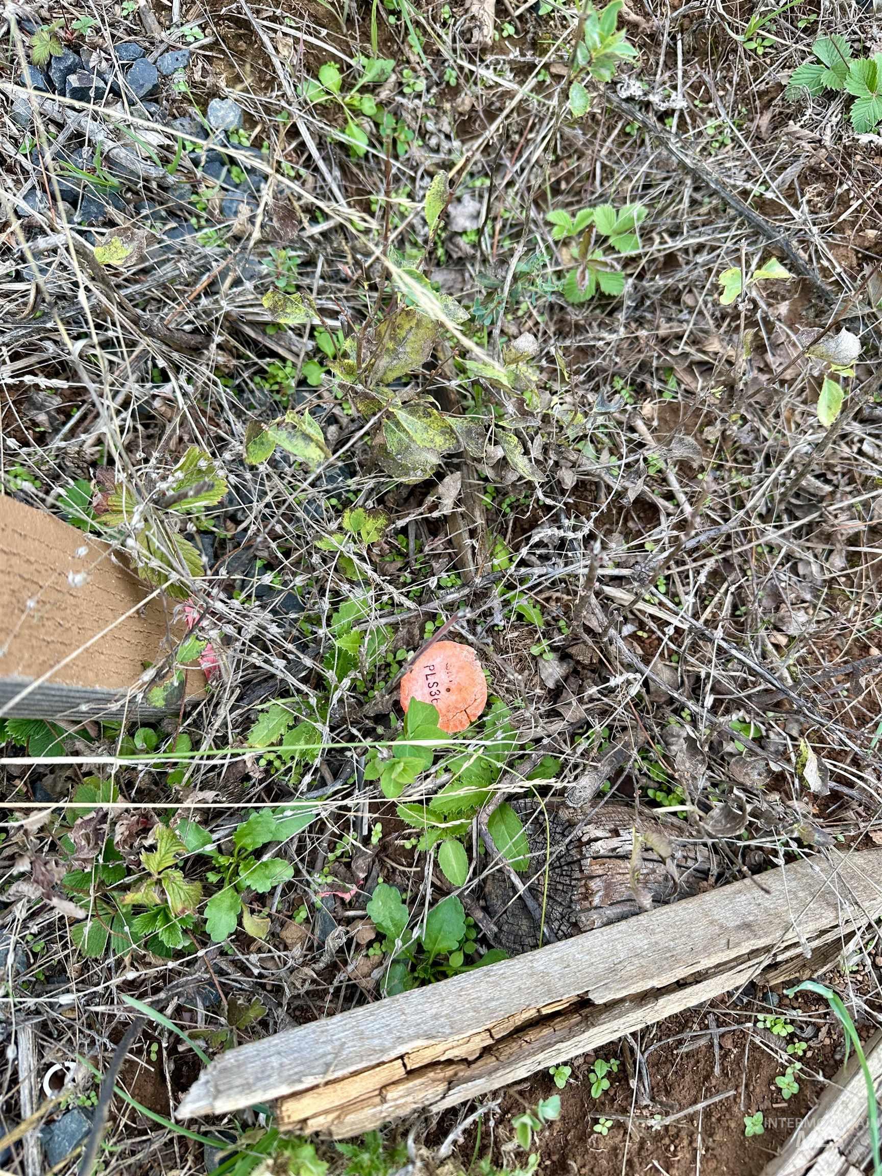 3 Peaceful Valley Road Kamiah, ID 83536 - Photo 7 of 8