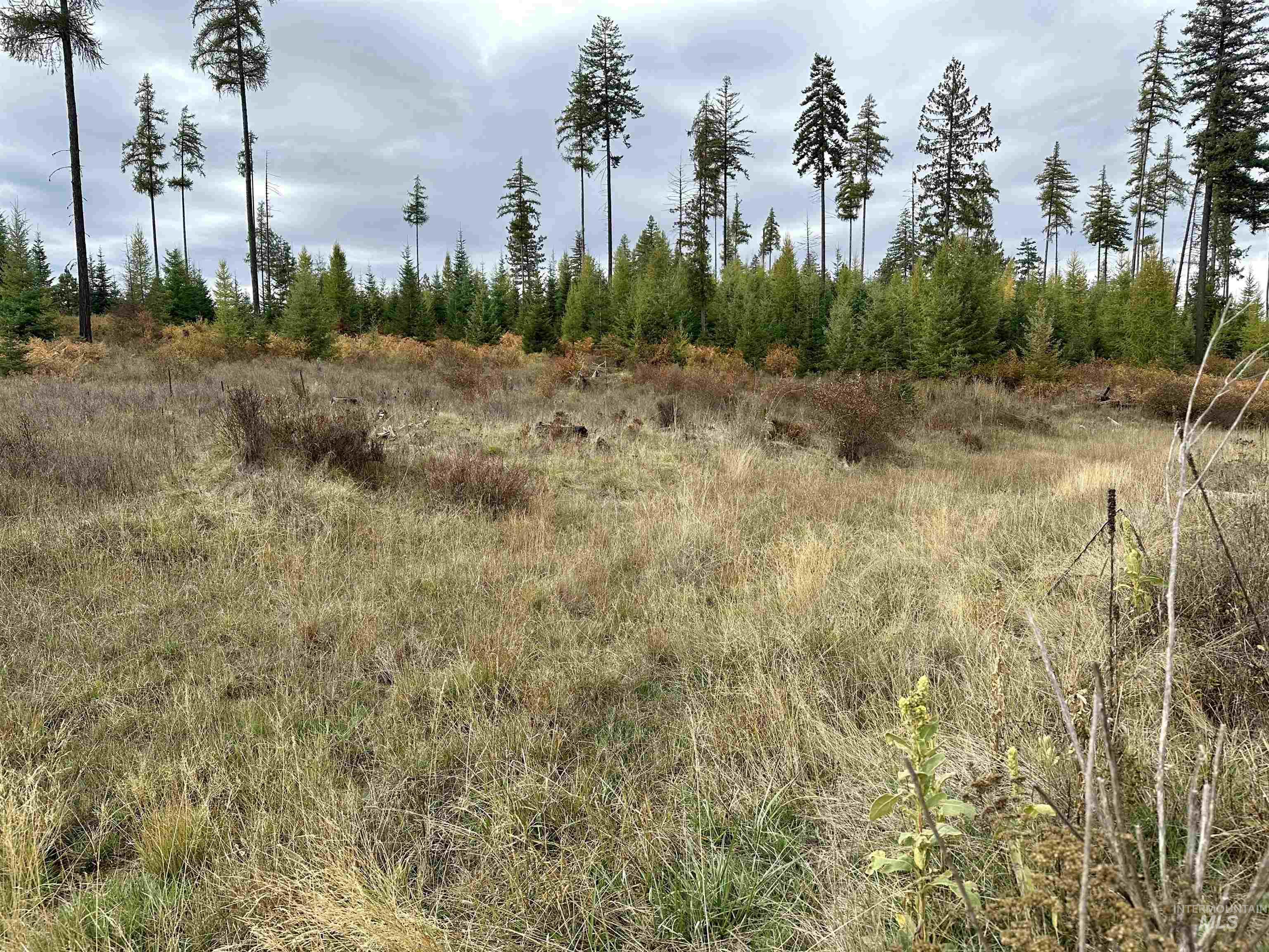 3 Peaceful Valley Road Kamiah, ID 83536 - Photo 8 of 8