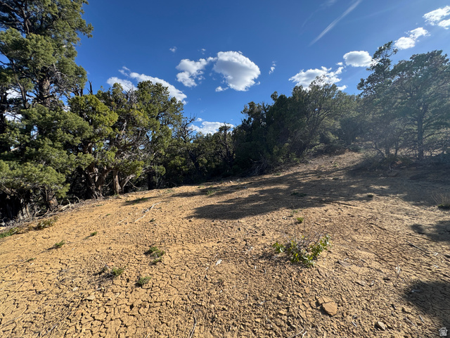 38 Broken Branch Road, Unit 38 Kanab, UT 84741 - Photo 21 of 53 Expansive natural landscape featuring a sloped terrain, mature juniper trees, and a clear sky with scattered clouds