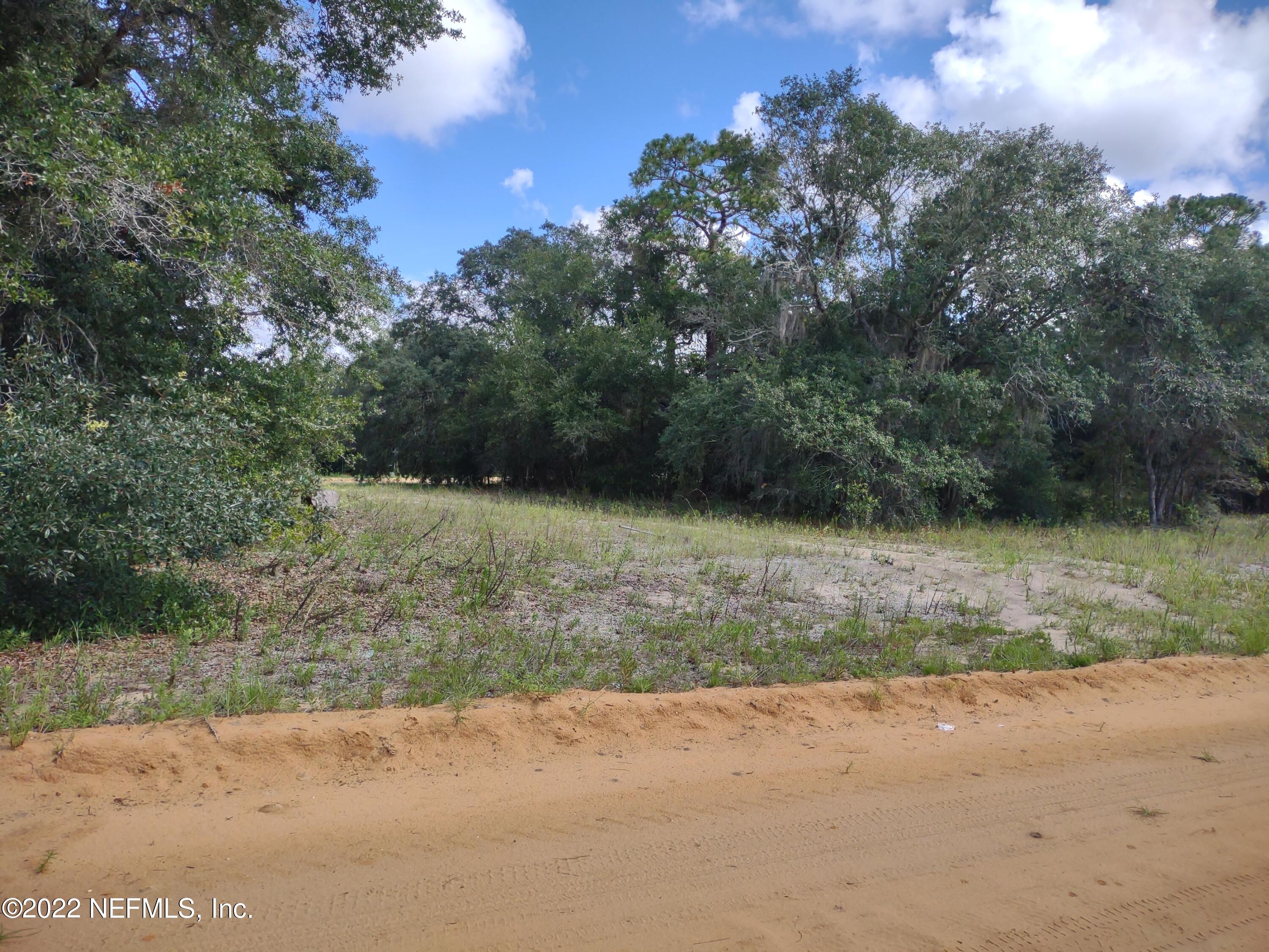 30 Milton Avenue Interlachen, FL 32148 - Photo 2 of 5 a view of a field with a trees in the background