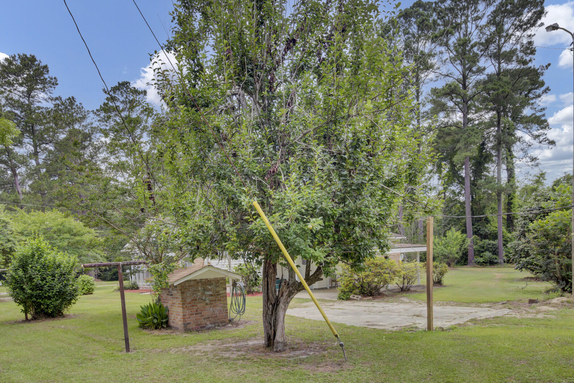 677 Twins Lane Reevesville, SC 29471 - Photo 38 of 56 38_38_mls