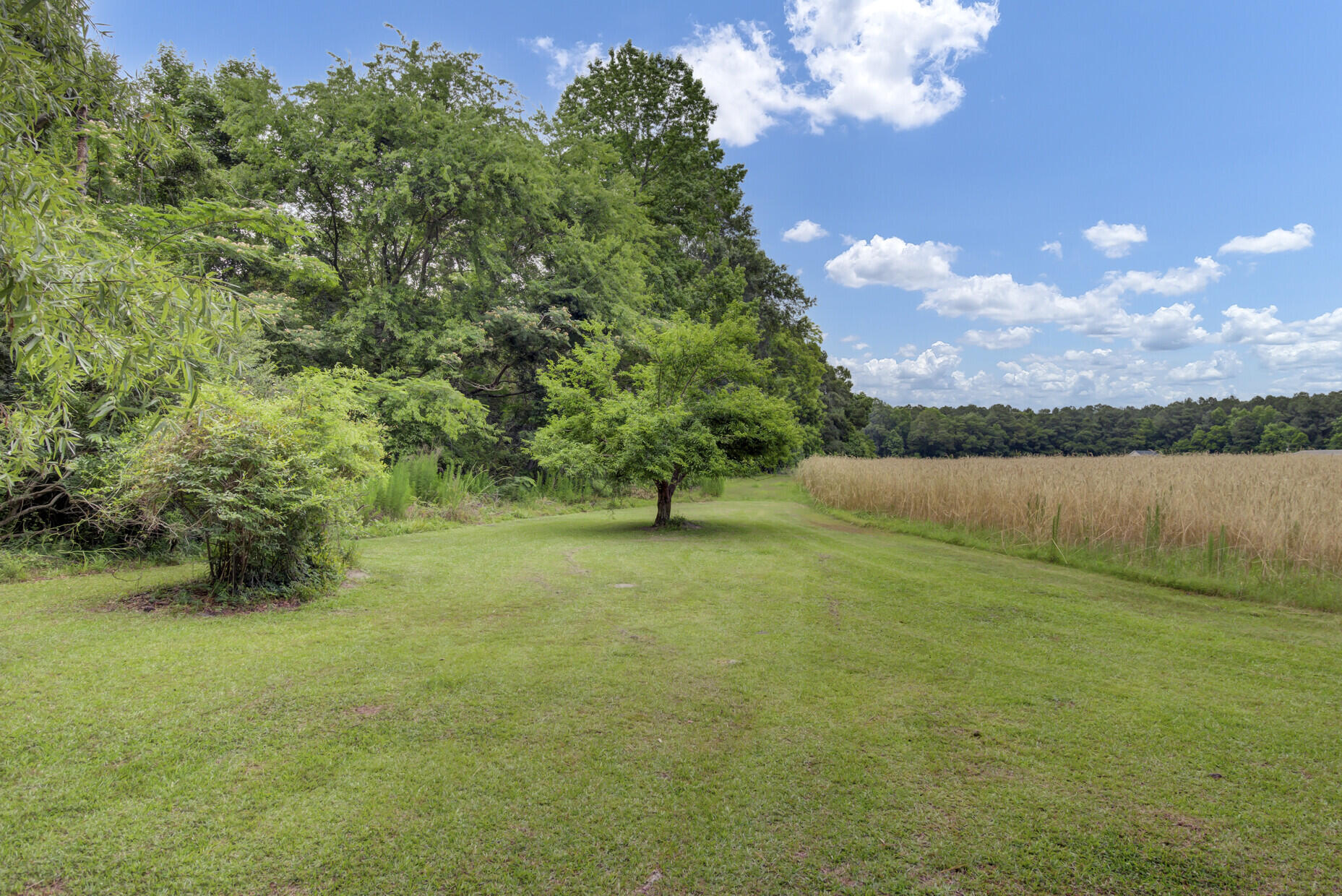 677 Twins Lane Reevesville, SC 29471 - Photo 41 of 56 41_41_mls