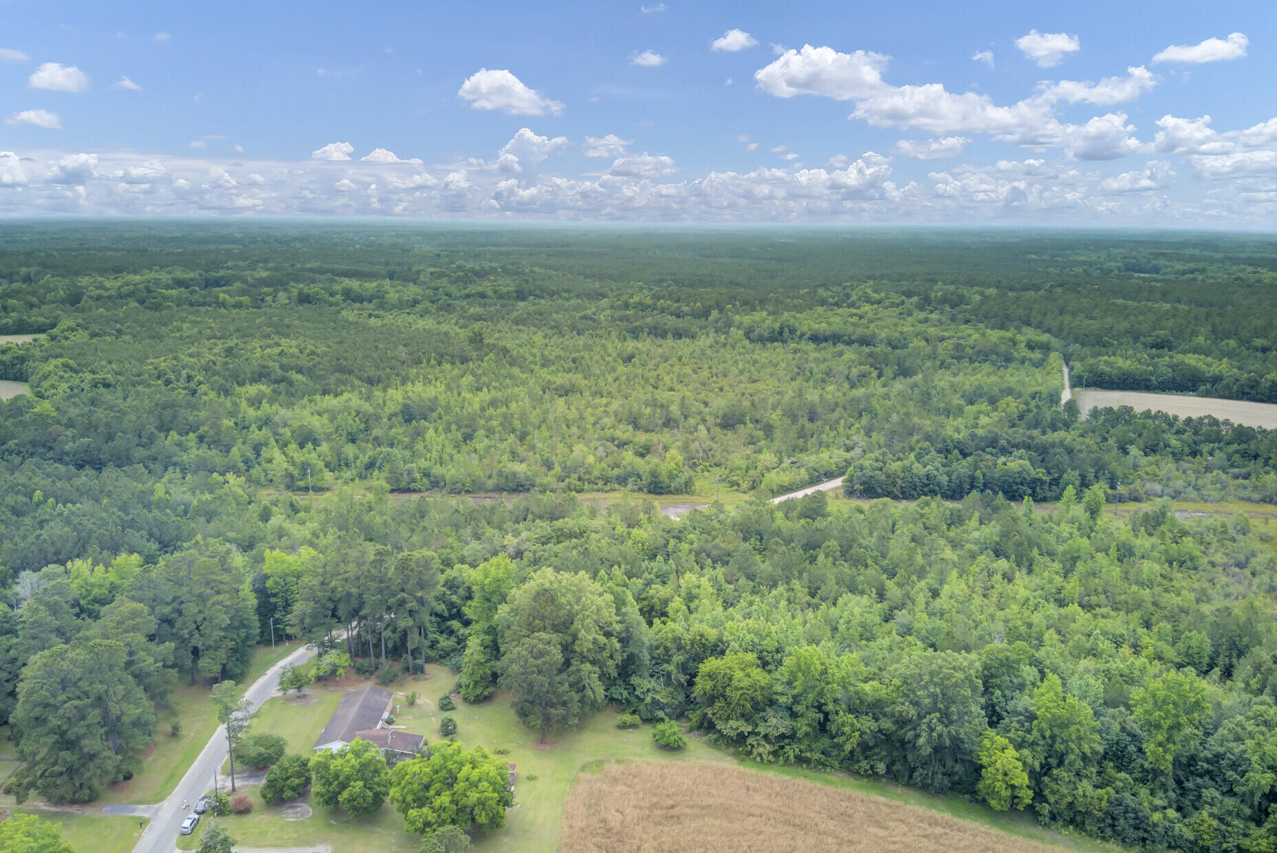 677 Twins Lane Reevesville, SC 29471 - Photo 50 of 56 50_50_mls