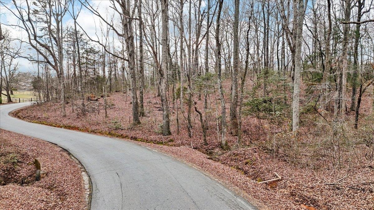 0 Pink Dill Mill Road Greer, SC 29651 - Photo 1 of 9