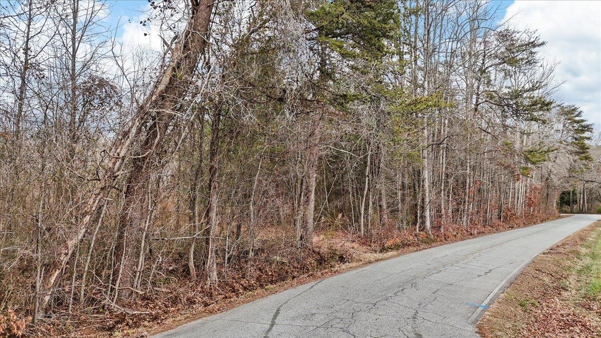 0 Pink Dill Mill Road Greer, SC 29651 - Photo 2 of 9