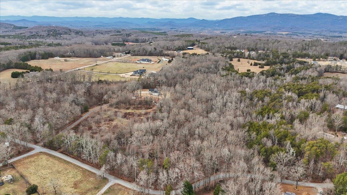 0 Pink Dill Mill Road Greer, SC 29651 - Photo 4 of 9