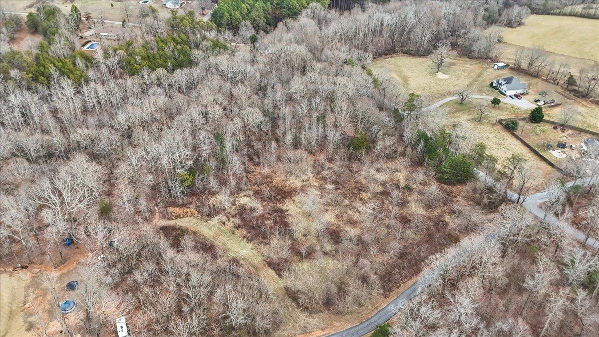0 Pink Dill Mill Road Greer, SC 29651 - Photo 7 of 9