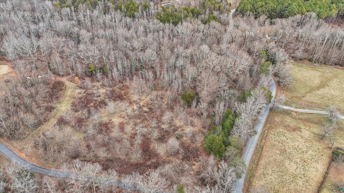 0 Pink Dill Mill Road Greer, SC 29651 - Photo 8 of 9