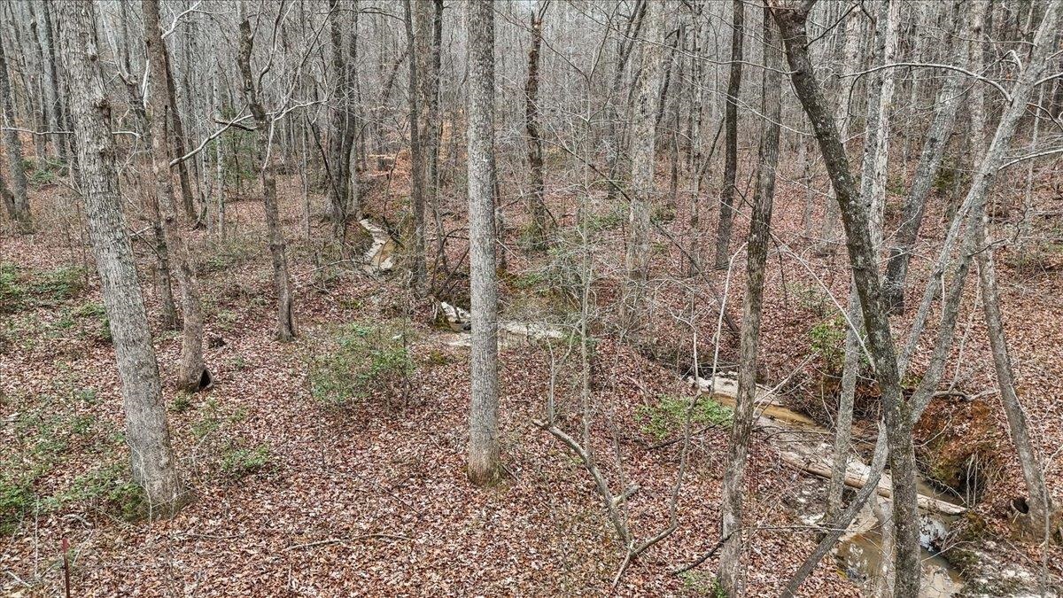 0 Pink Dill Mill Road Greer, SC 29651 - Photo 9 of 9