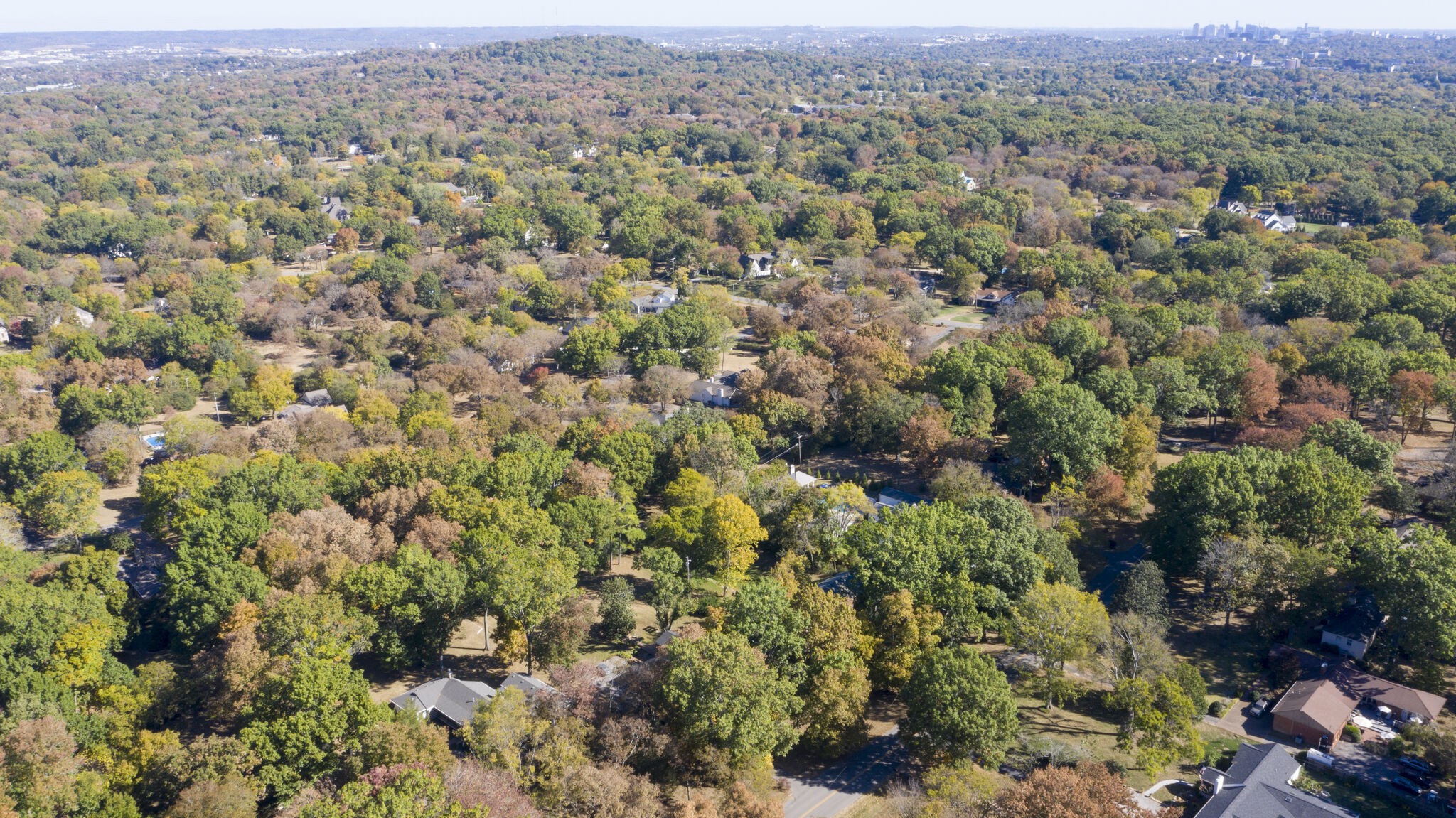 6230 Bresslyn Road Nashville, TN 37205 - Photo 53 of 53 an aerial view of residential houses with outdoor space and trees