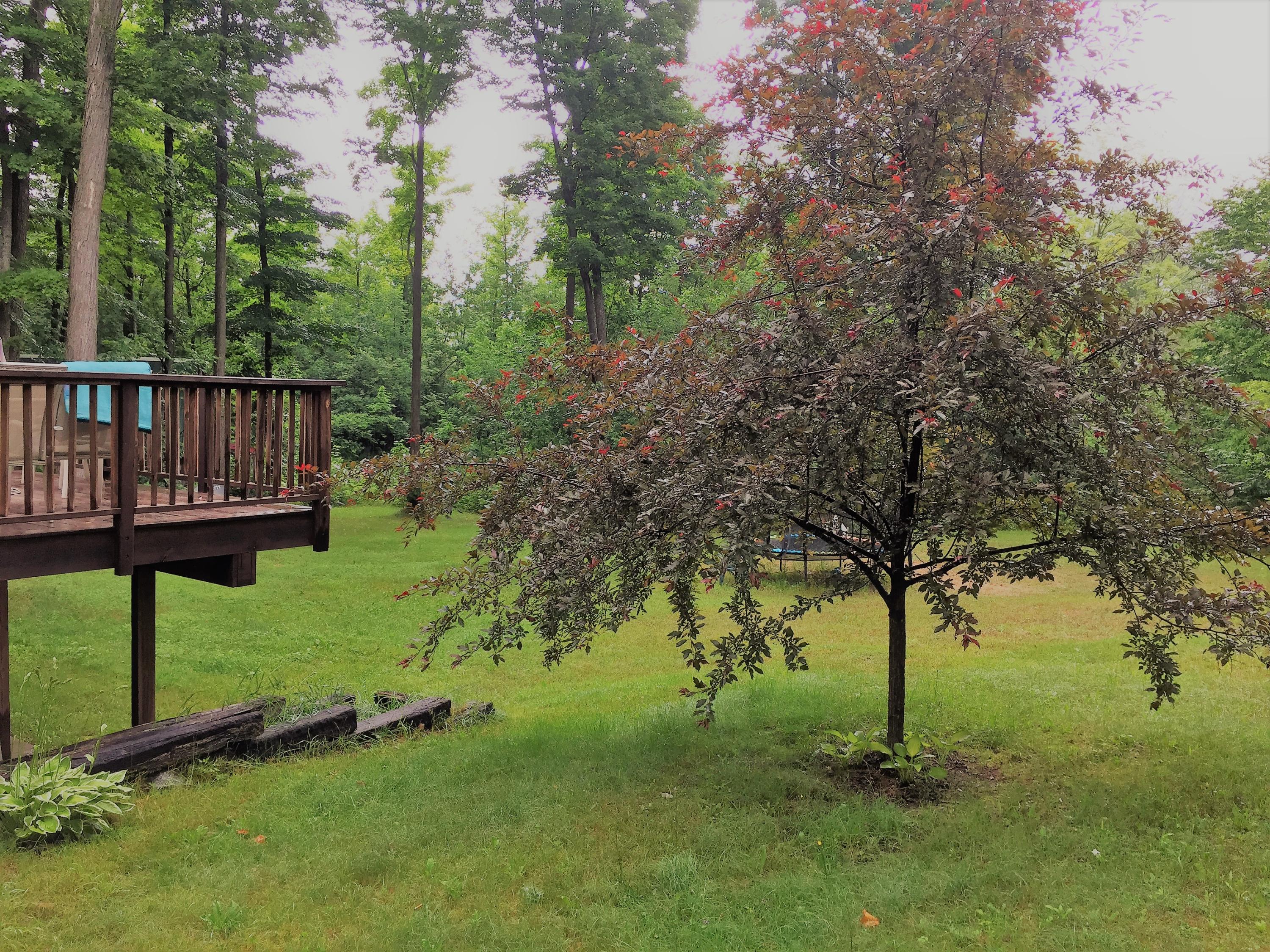 9567 Munger Road Afton, MI 49705 - Photo 37 of 43 Gallery Image 37