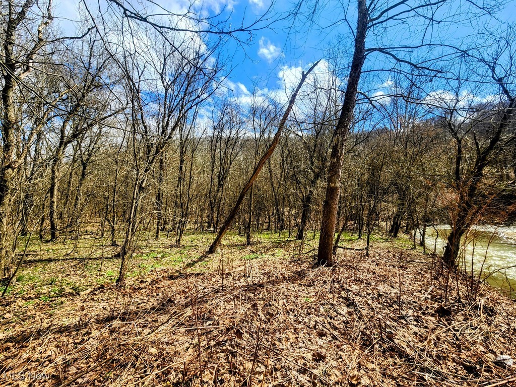 Kings Creek Road New Cumberland, WV 26047 - Photo 7 of 18