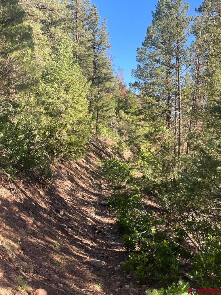 58p 58P Road Placerville, CO 81430 - Photo 12 of 34