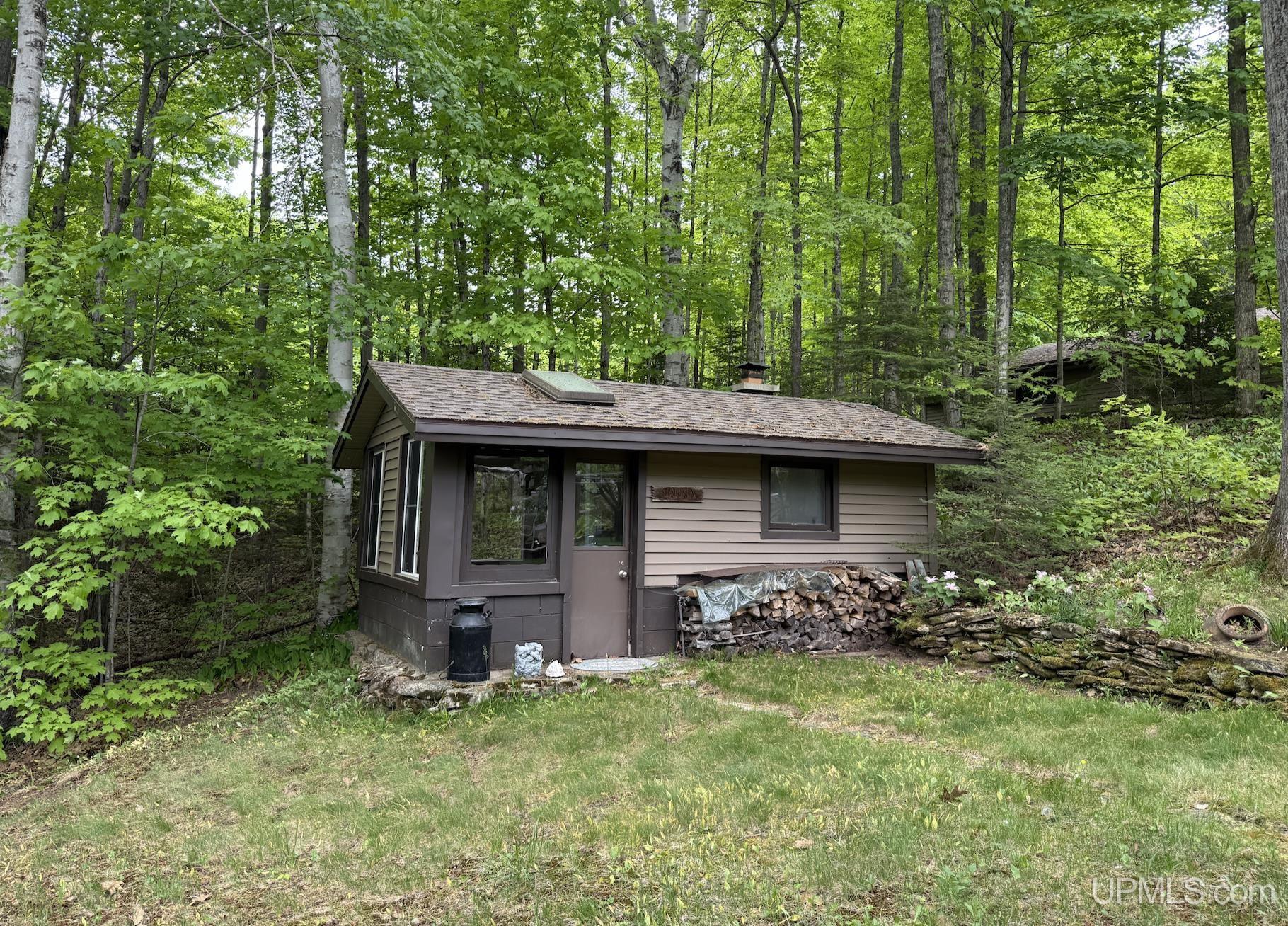 1605 Engman Lake Road Skandia, MI 49885 - Photo 66 of 90