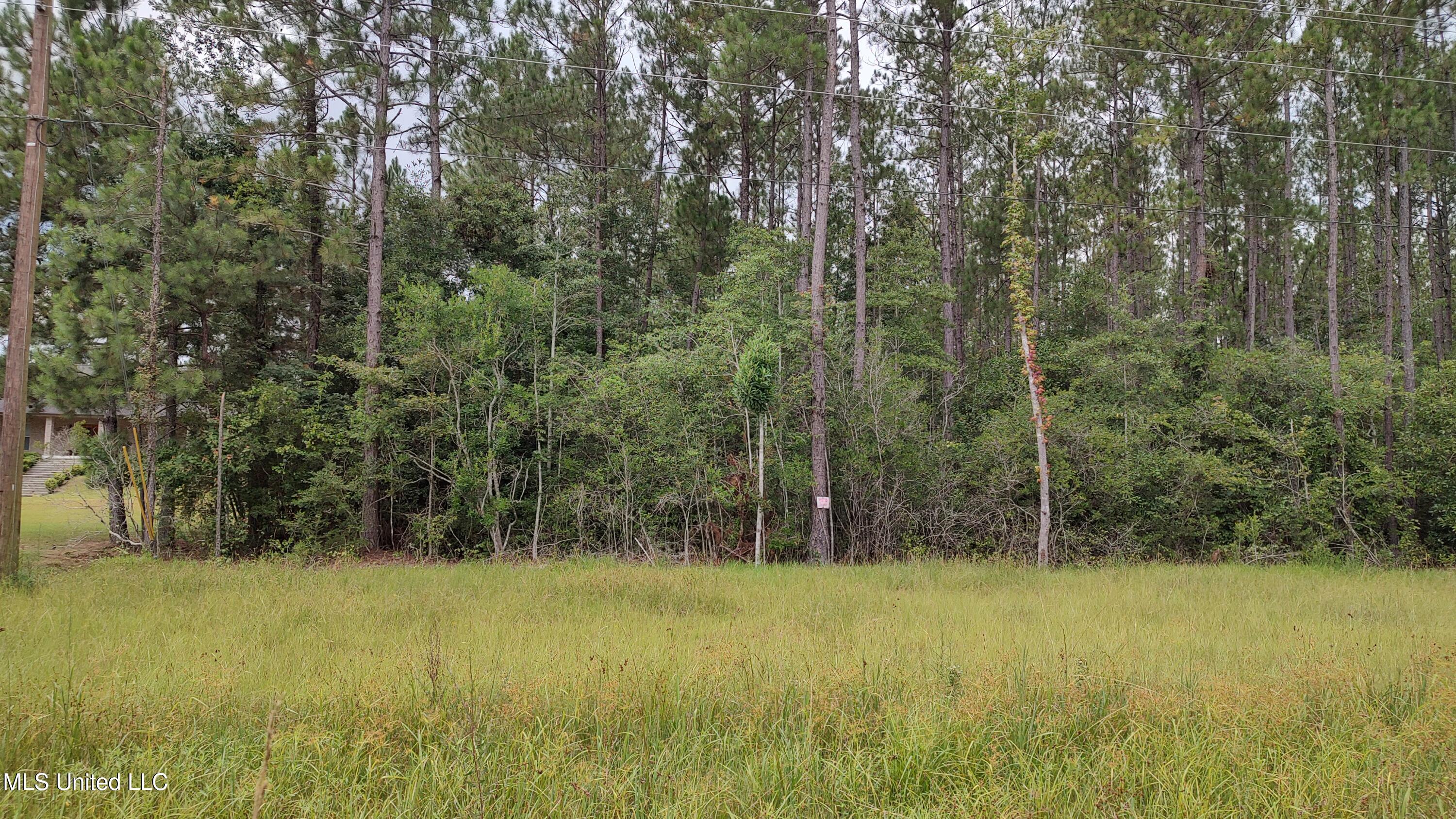 Ms-43 Street North Picayune, MS 39466 - Photo 2 of 4 IMG_20250708_124033269_HDR