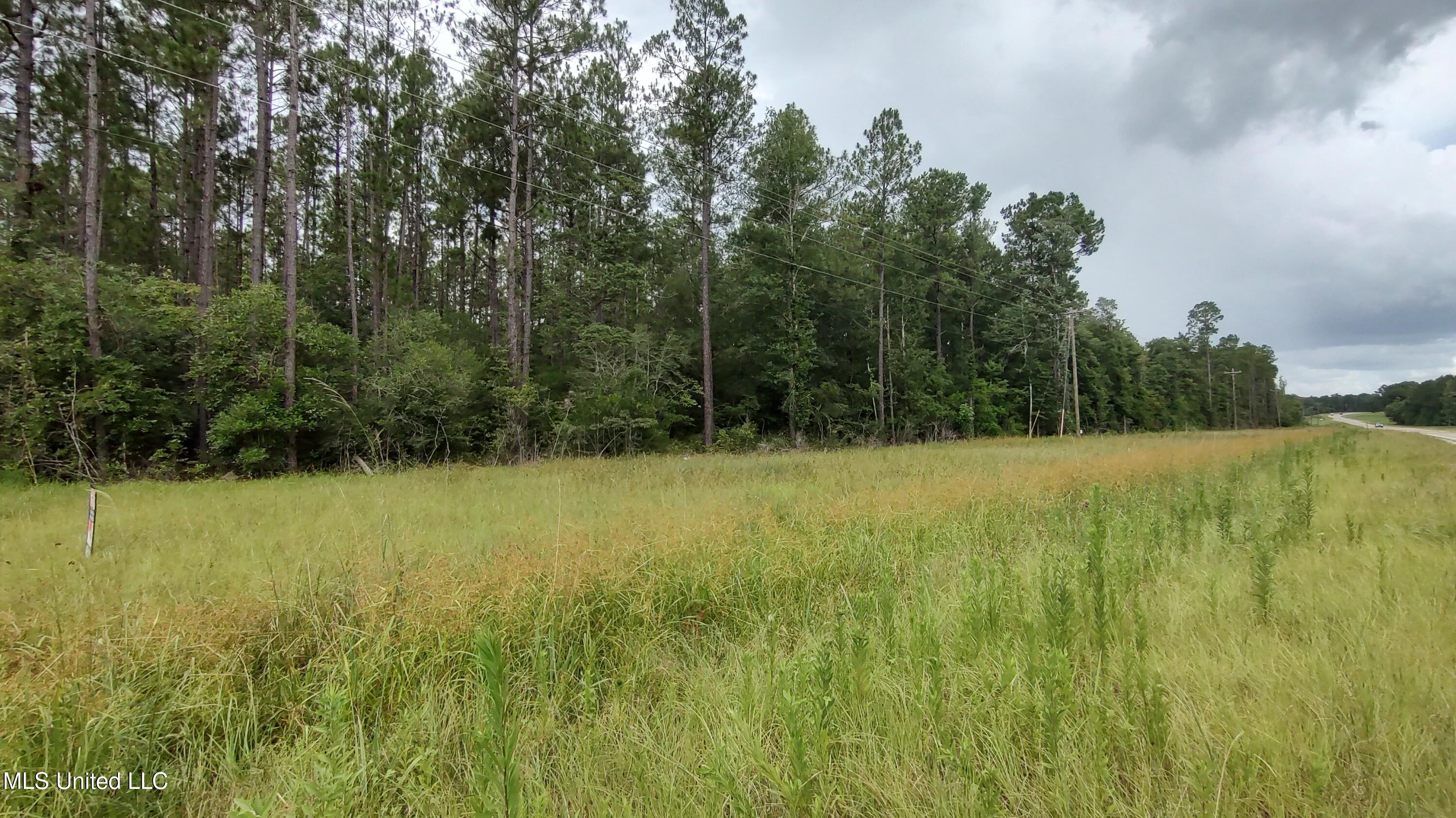 Ms-43 Street North Picayune, MS 39466 - Photo 3 of 4 IMG_20250708_123933656_HDR