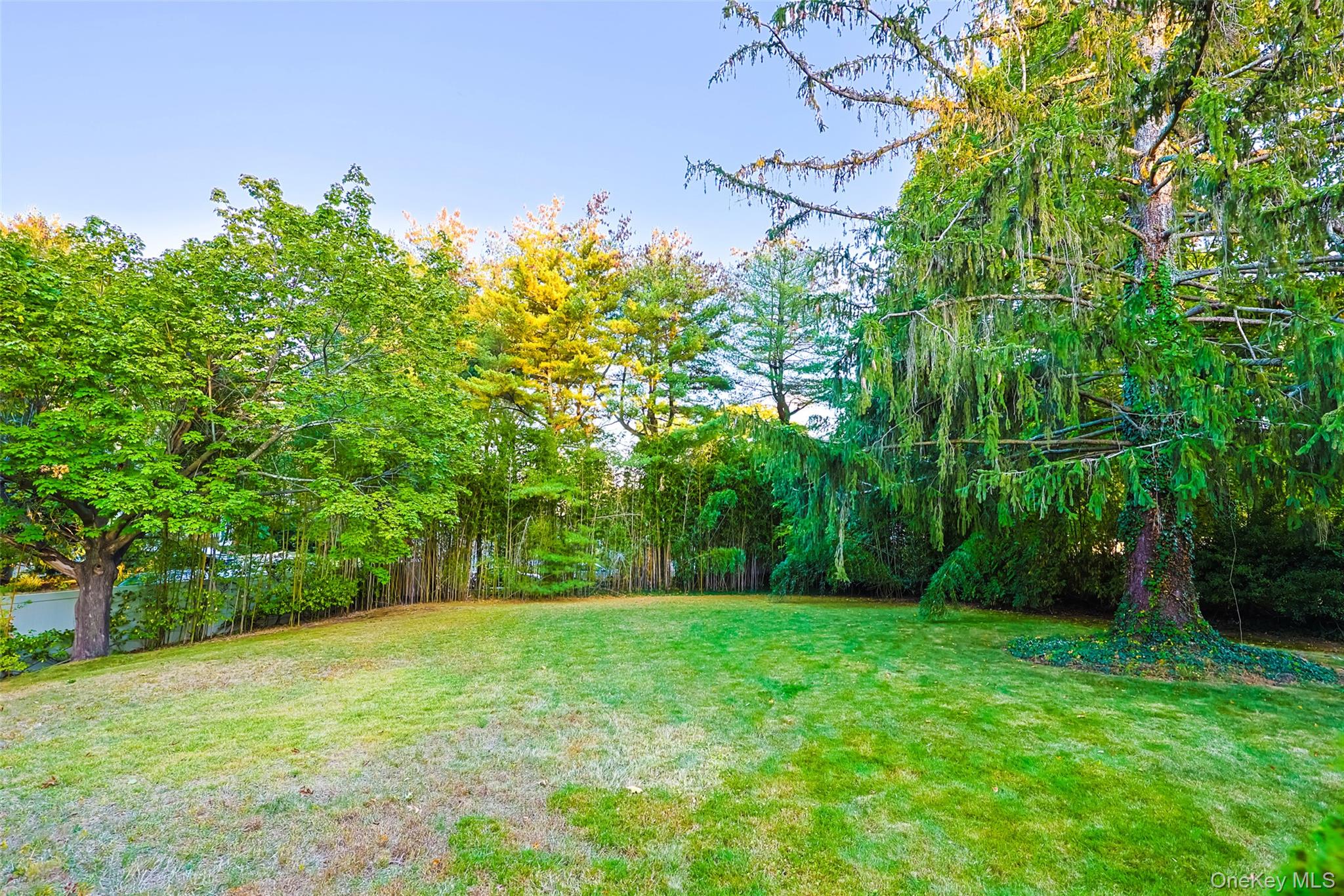 36 Red Spring Lane Glen Cove, NY 11542 - Photo 31 of 33 Backyard (Closer View) – A second angle of the private, tree-lined yard with manicured lawn and deck access, providing a serene natural backdrop for relaxation or gatherings.