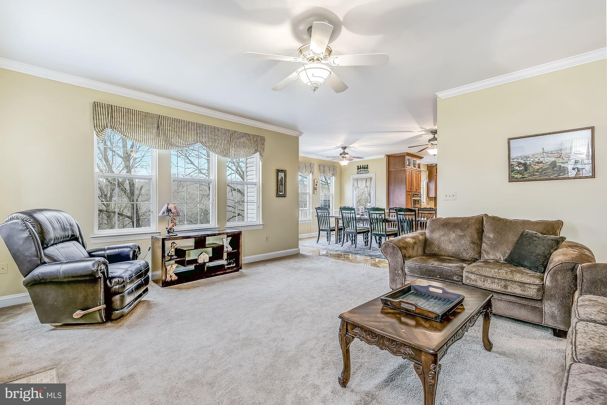 15611 Bushy Park Road Woodbine, MD 21797 - Photo 30 of 92 Family Room