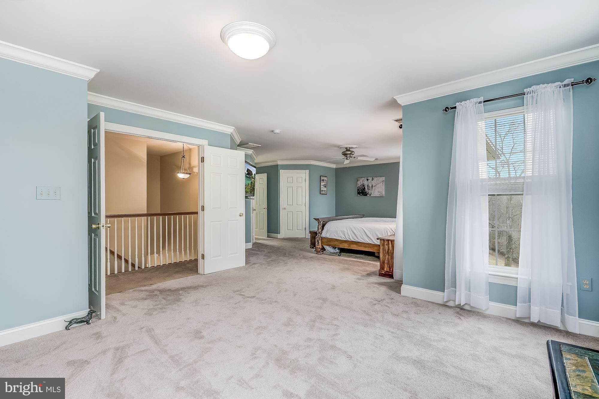 15611 Bushy Park Road Woodbine, MD 21797 - Photo 35 of 92 Primary Suite